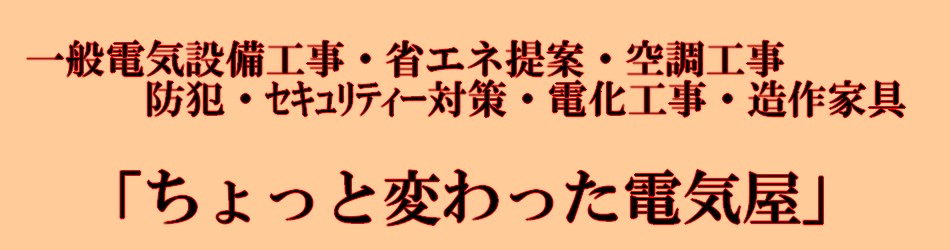 ちょっと変わった電気屋